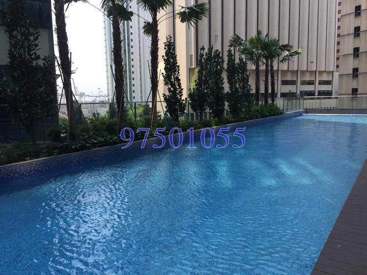Skysuites@Anson (D2), Apartment #153287672